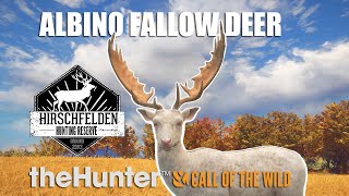 Albino Fallow Deer  theHunter Call Of The Wild [upl. by Cowles]