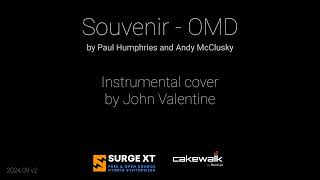 Souvenir OMD  Cover Surge XT [upl. by Jarrod]