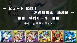 【パズドラ】 ビュート降臨 壊滅級 キリPT 【ソロ／ノーコン】 [upl. by Lorens]