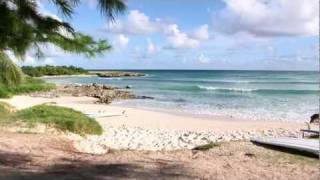 Zeds Surfing Adventures  Surfers Point Barbados [upl. by Voss]