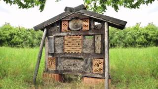 NABUInsektenhotels im Landkreis GroßGerau [upl. by Annoyt125]