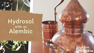 How To Make Hydrosol with an Alembic [upl. by Catarina]