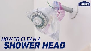 How To Clean a Shower Head and Shower Drain [upl. by Darci]