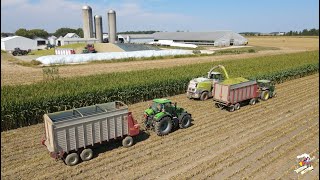 Chopping Corn Silage north of Fort Recovery Ohio on a Family Dairy Farm [upl. by Nemsaj]