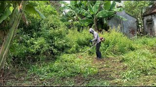 Cleanup helps the community transform an abandoned house with overgrown grass [upl. by Yahsram]