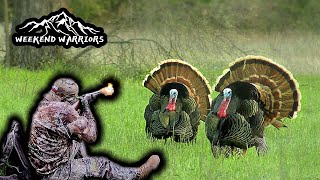 2nd chance turkeys Texas Turkey Hunting  Verdict Ammunition [upl. by Funda]