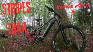 New Trail quotStripesquot Guisborough woods Emtb Haibike allmtn 4 [upl. by Atiragram]