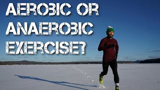 Aerobic or Anaerobic Exercise [upl. by Blackstock997]