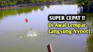 1 TEMPAT SUDA PLUNG NYOT  Kepikat Tidak Sepat Pinda Spot  Mancing Kakap Puti Di Pinggiran [upl. by Lakym906]