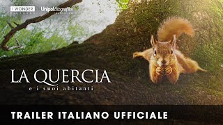 LA QUERCIA E I SUOI ABITANTI  Trailer italiano ufficiale HD [upl. by Islehc]