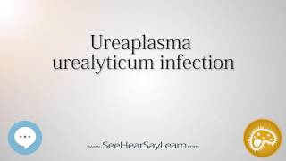 Ureaplasma urealyticum infection 🔊 [upl. by Foote855]