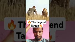 The legend tarzan🔥 thelegendoftarzan hollywood movie tarzan lion disneytarzan attitude [upl. by Anoirb467]