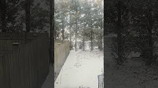 1 minute of the first snow fall of 2024 [upl. by Annahsohs]