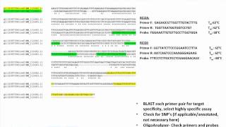 qPCR Design Strategies for Specific Applications [upl. by Othilia247]