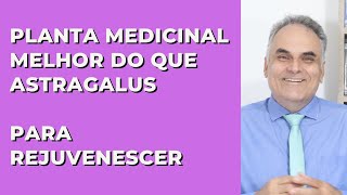 Esta planta é melhor do que astragalus para rejuvenescer você  Dr Marco Menelau [upl. by Drucilla]