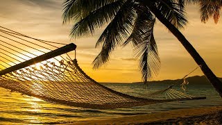 Guided Meditation Sleep Talk Down Sleeping Hammock Hypnosis for Sleep Relaxation [upl. by Duntson]