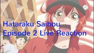 Hataraku Saibou はたらく細胞 Episode 2 Live Reaction [upl. by Riane332]