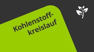 Der biologische Kohlenstoffkreislauf  Biologie  Ökologie [upl. by Weslee]