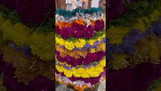 Bathukamma perchina [upl. by Jeni435]