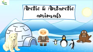 Exploring the Arctic amp Antarctic Animals for Kids  in English  For Kids Preschool Channel [upl. by Animsay811]