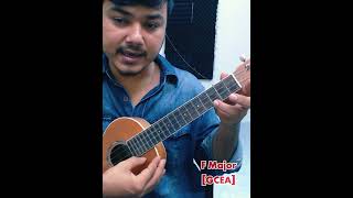 আমি এক গরীব প্রেমিক নীলা  Ukulele Tutorial [upl. by Bohlin85]