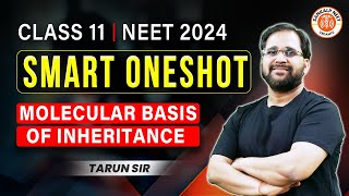 MOLECULAR BASIS OF INHERITANCE CLASS 12 ONE SHOT  NEET 2024  SMART ONE SHOT  BOTANY BY TARUN SIR [upl. by Irab]