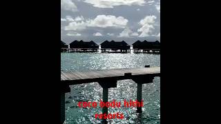 This coco bodu hithi resort [upl. by Agnew]