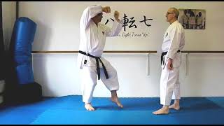 Heian Nidan Bunkai Strategies 2023 week 26 koryu karate oyo jutsu [upl. by Gianina438]