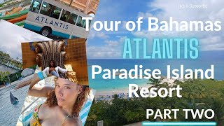 Atlantis Bahamas Tour Part Two  The Epic Aquaventure Waterpark Swimming with Dolphins  More [upl. by Harat]