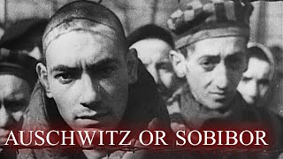 Genocide of Jews in Poland  The Abyss Ep 8  Full Documentary [upl. by Claresta918]