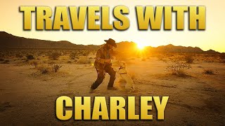 Travels With Charley  Tom Green And His Dog Charley  Van Life [upl. by Alford77]