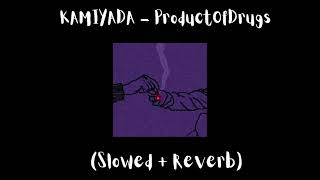 Kamiyada  ProductOfDrugs Slowed  Reverb [upl. by Negrom]