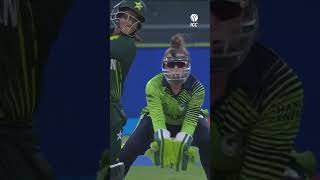 So thats where the ball went 🙃 YTShorts CricketShorts [upl. by Aeikan]