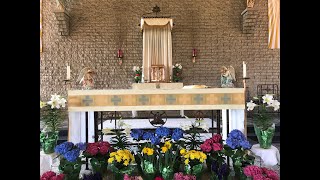 May 25th 2024  St Wendelin  The Most Holy Trinity Vigil Mass [upl. by Tonjes419]