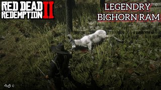 Red Dead Redemption 2  Bighorn Ram  Full Guide [upl. by Jamille360]