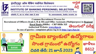 IBPS Recruitment  Grameena Bank Notification  Bank Notification  IBPS recruitment 2023  Bank job [upl. by Averell]