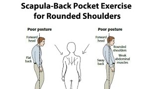 ScapulaBack Pocket Exercise for Rounded Shoulders  Dr Mandell [upl. by Anitsenre]