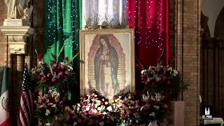 St Paul Novena Live Stream Mass [upl. by Waldos]