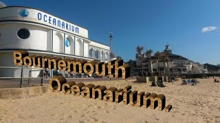 Bournemouth Oceanarium [upl. by Joette]