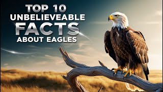 Are Eagles REALLY the Kings of the Skies  Top 10 Facts about Eagles eagles wildlife [upl. by Aggy]