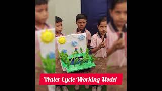 Water Cycle Working Model ll Water Cycle II Science Model Class2 waterresourcemanagement [upl. by Taddeusz]