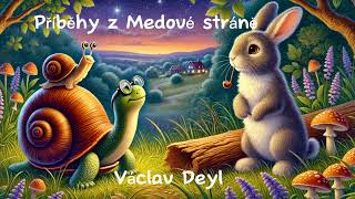 Příběhy z Medové stráně 🐌🐢 audiokniha  Václav Deyl  četba pro děti na pokračování 1 kapitola [upl. by Teragramyram]