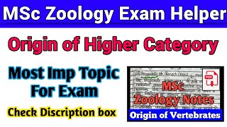 Origin of Higher Category MSc Zoology Notes PDF [upl. by Ipoillak]