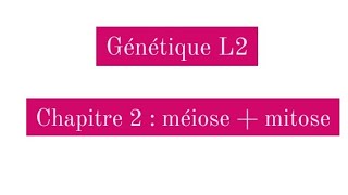 Génétique L2  méiose et mitose [upl. by Crane]