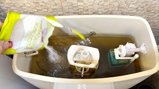 How to clean toilet cistern with citric acid Clean Toilet Tanks without Scrubbing [upl. by Lacsap]