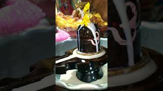 Mahadev 🕉 ytviral viewsviralvideosubscribersgrow kedarnath bholenath Sohochoricreation [upl. by Ramu]