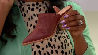 Schutz Leather Pointed Toe Heeled Mules  Zarly on QVC [upl. by Port18]