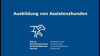 Ausbildung von Assistenzhunden – Ausziehen der Schuhe [upl. by Aveline]