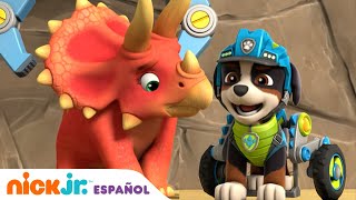 Paw Patrol Patrulla de cachorros  ¡El rescate del Triceratops  Nick Jr en Español [upl. by Lory]