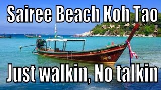 Koh Tao Sairee Beach Thailand quotWalkin No Talkinquot [upl. by Sucy731]